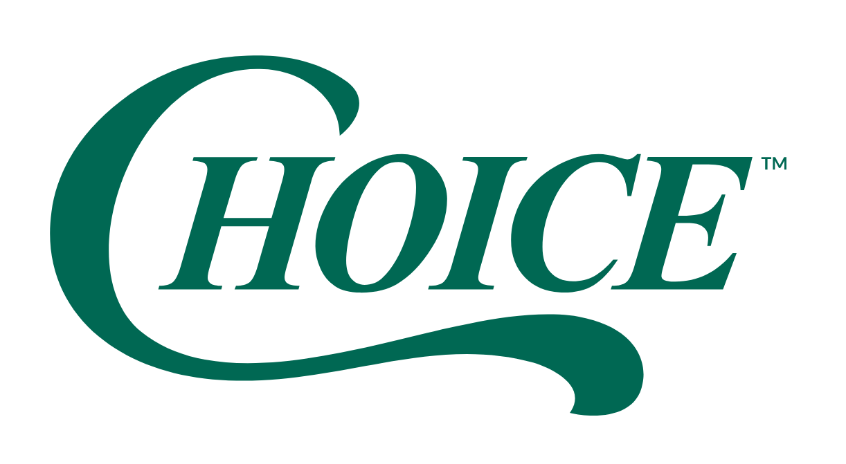 CHOICE - Espátula Profesional con Cuchilla de Silicona 10